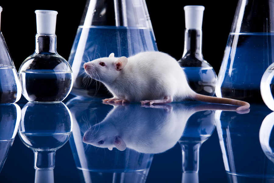 Glyphosate Cancer Studies: Conflict Within the EPA Part II – GMO Truth Podcast #12